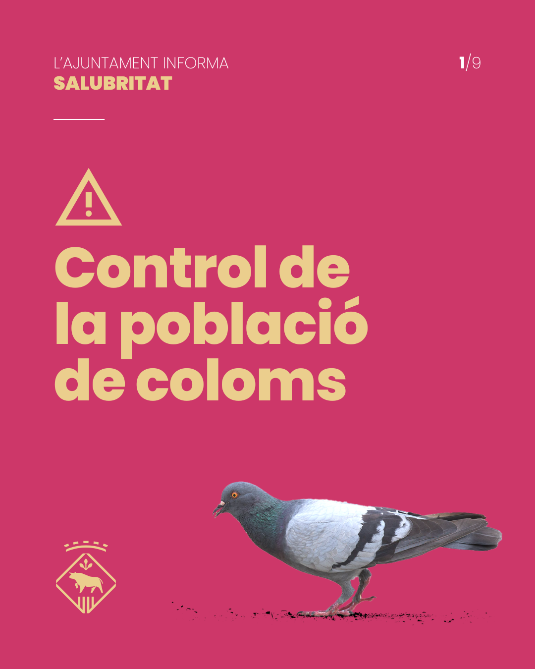 Control de la població de coloms