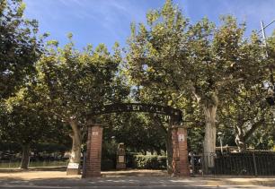 Les Borges engega un nou sistema d’esporga més sostenible per als arbres del municipi