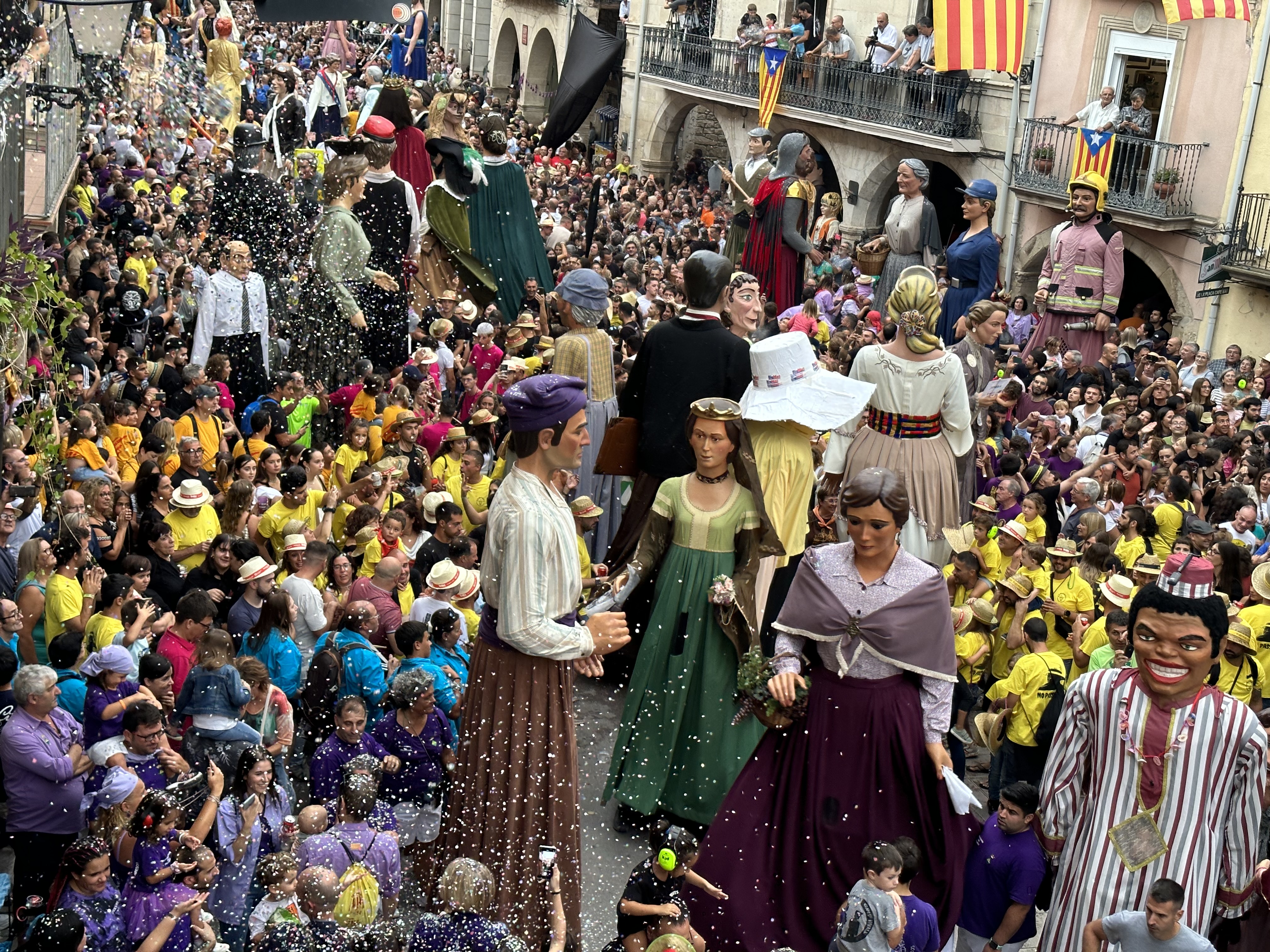 40a Trobada de Gegants, Grallers i Correfocs