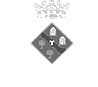 logo borges del camp